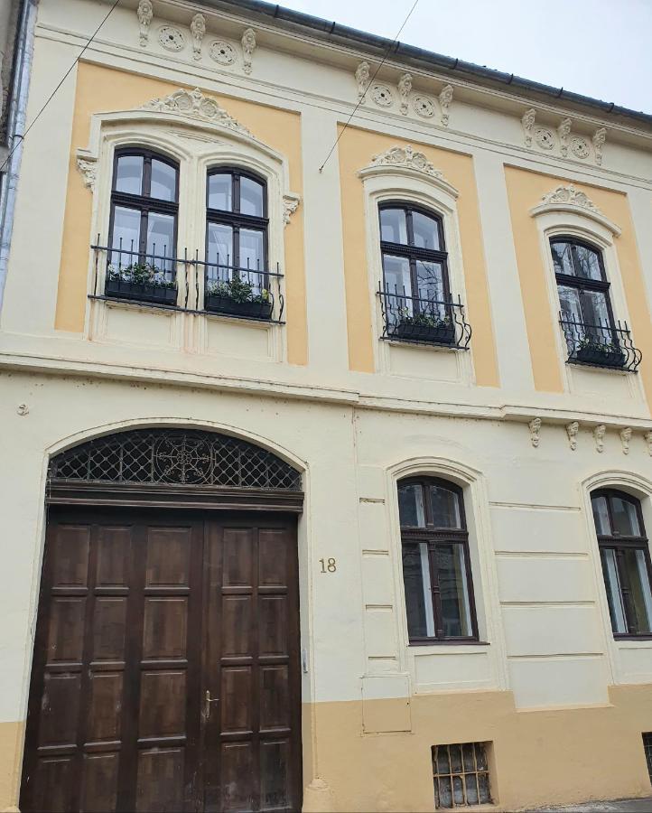 Elisabeth Apartment Oradea Luaran gambar