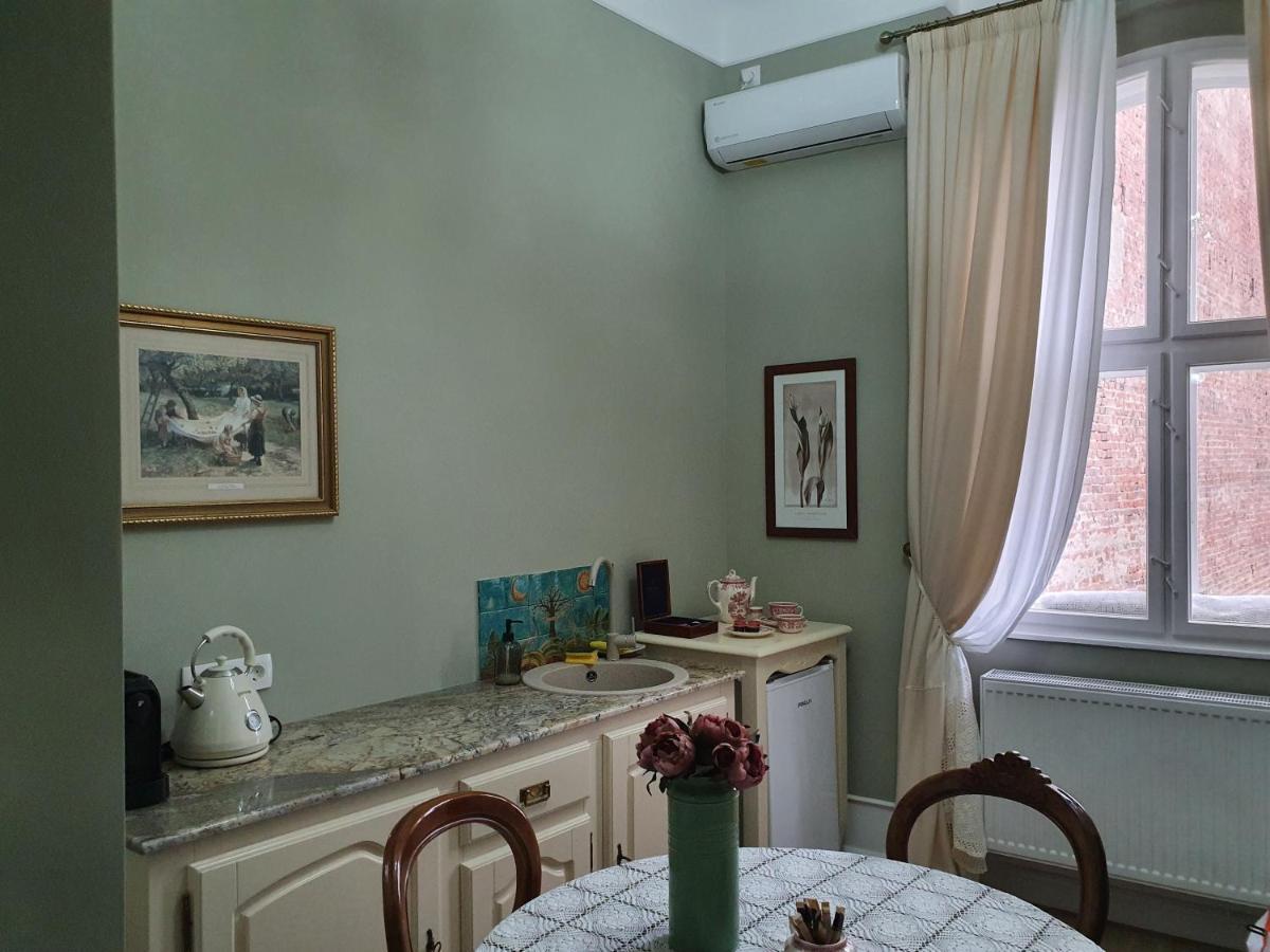Elisabeth Apartment Oradea Luaran gambar